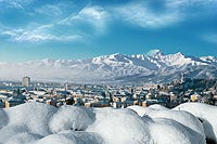 pinneve