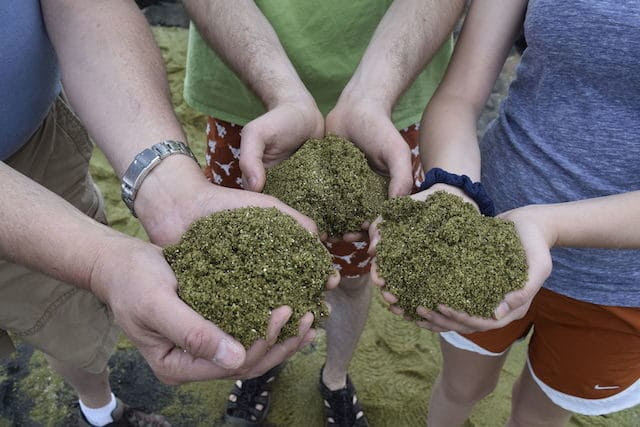 10 Bizarre Beaches From Around the World