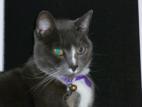 buster 012