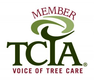 member tcia voice of tree care