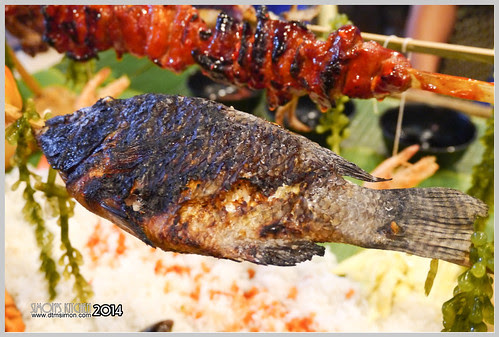 SEAFOODISLAND12