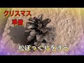 画像をダウンロード 松ぼっくり 画像 314907-松ぼっくり 画像 イラスト