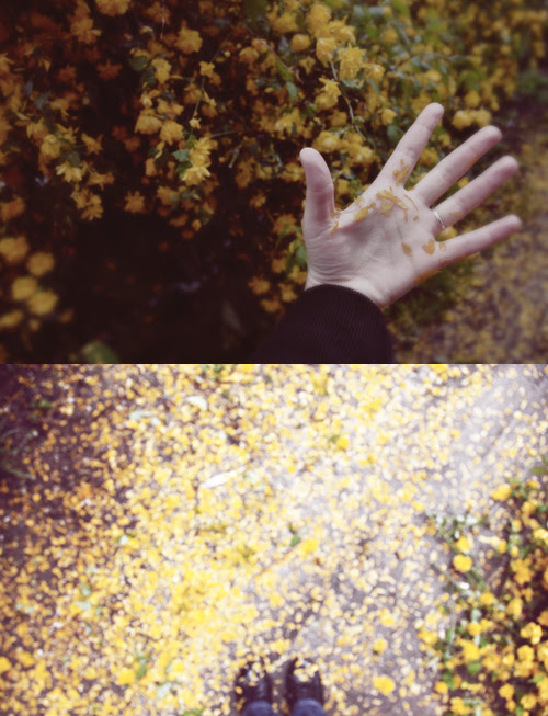 jaune