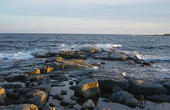 Om morfarsfarfarsfarfarsfar