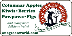 One Green World