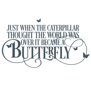 Download Silhouette Design Store - View Design #197881: caterpillar into a butterfly quote