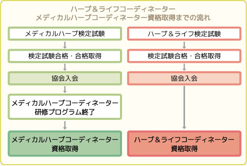 メディカルハーブコーディネーター 札幌のjamha認定校 メディカルハーブ検定資格講座 フィトナチューラ