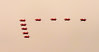 Approaching Arrows
