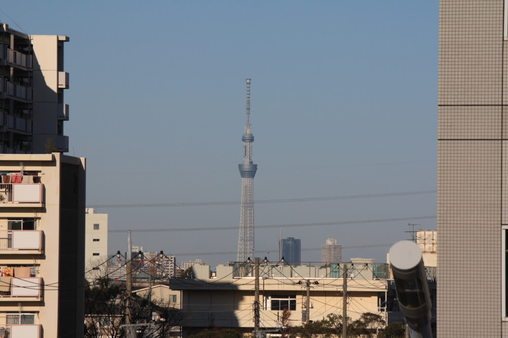 京葉線 スカイツリーを望む634の景色