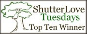 ShutterLoveTopTen