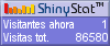 Audiencia web