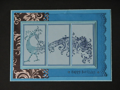 CCardstock 003