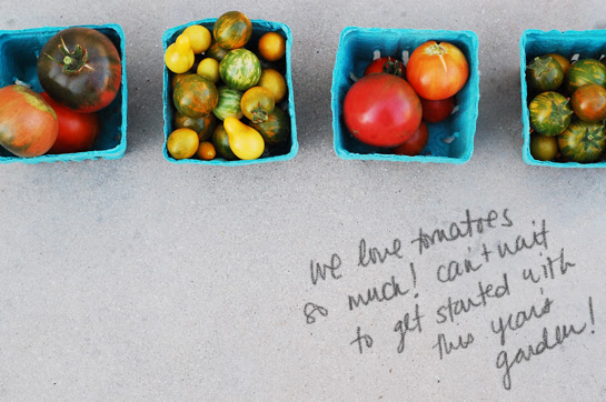 tomato love