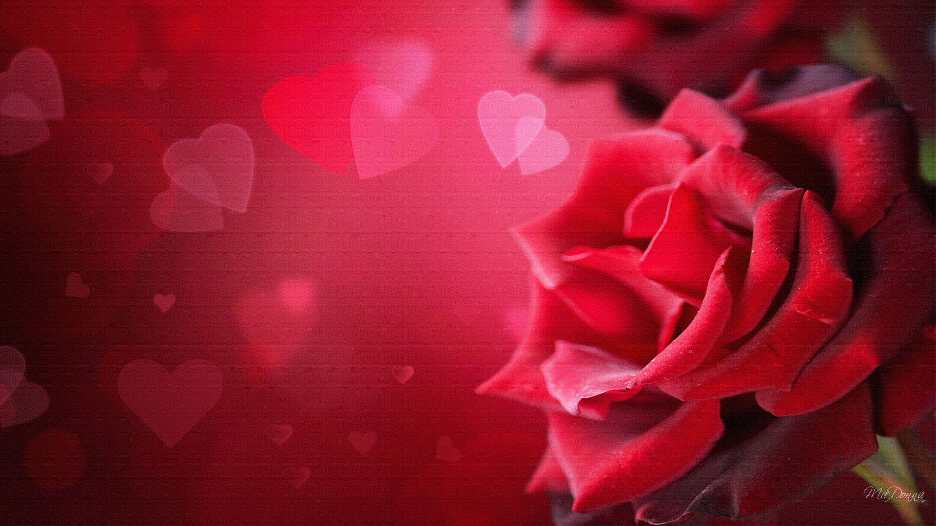 Valentines Day Desktop Wallpaper - Wallpaper, High ...