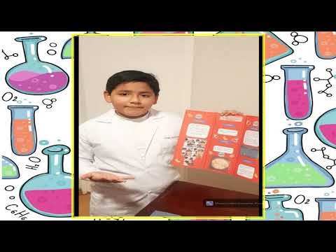 Proyecto 2 : STEAM - 3er grado A