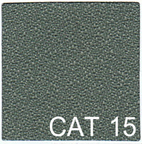 CAT 15 copy
