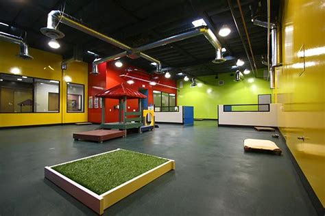 doggy day care playground  dog obedience training