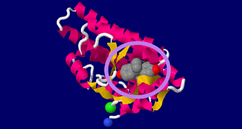 科学技術と社会 を考える
