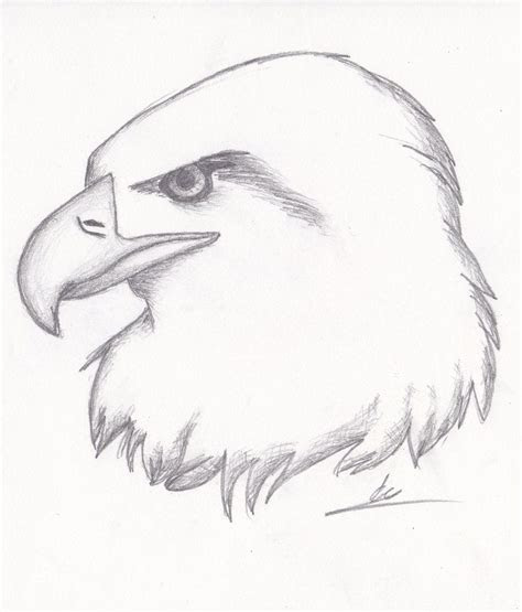 easy sketches google search pencil drawings  animals animal