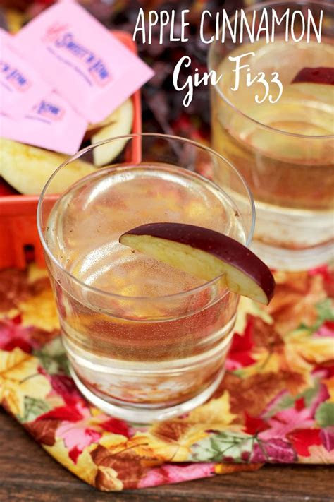 apple cinnamon gin fizz  sweet apple cinnamon
