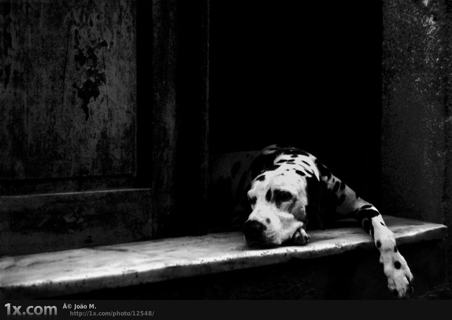 street photography favs, rg443