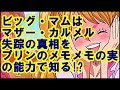 【ベストコレクション】 ワンピース カルメル 能力 223467-ワンピース カルメル 能力