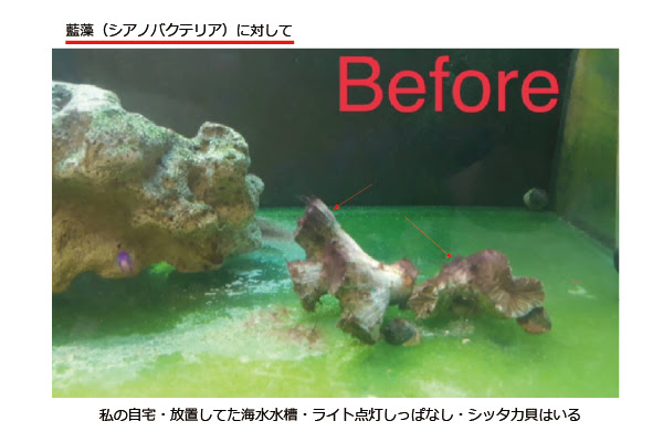 商品情報 水質調整剤 ウルトラバイオガード アズージャパン株式会社