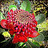 poppyde46's Flora Friday January 2014 photoset