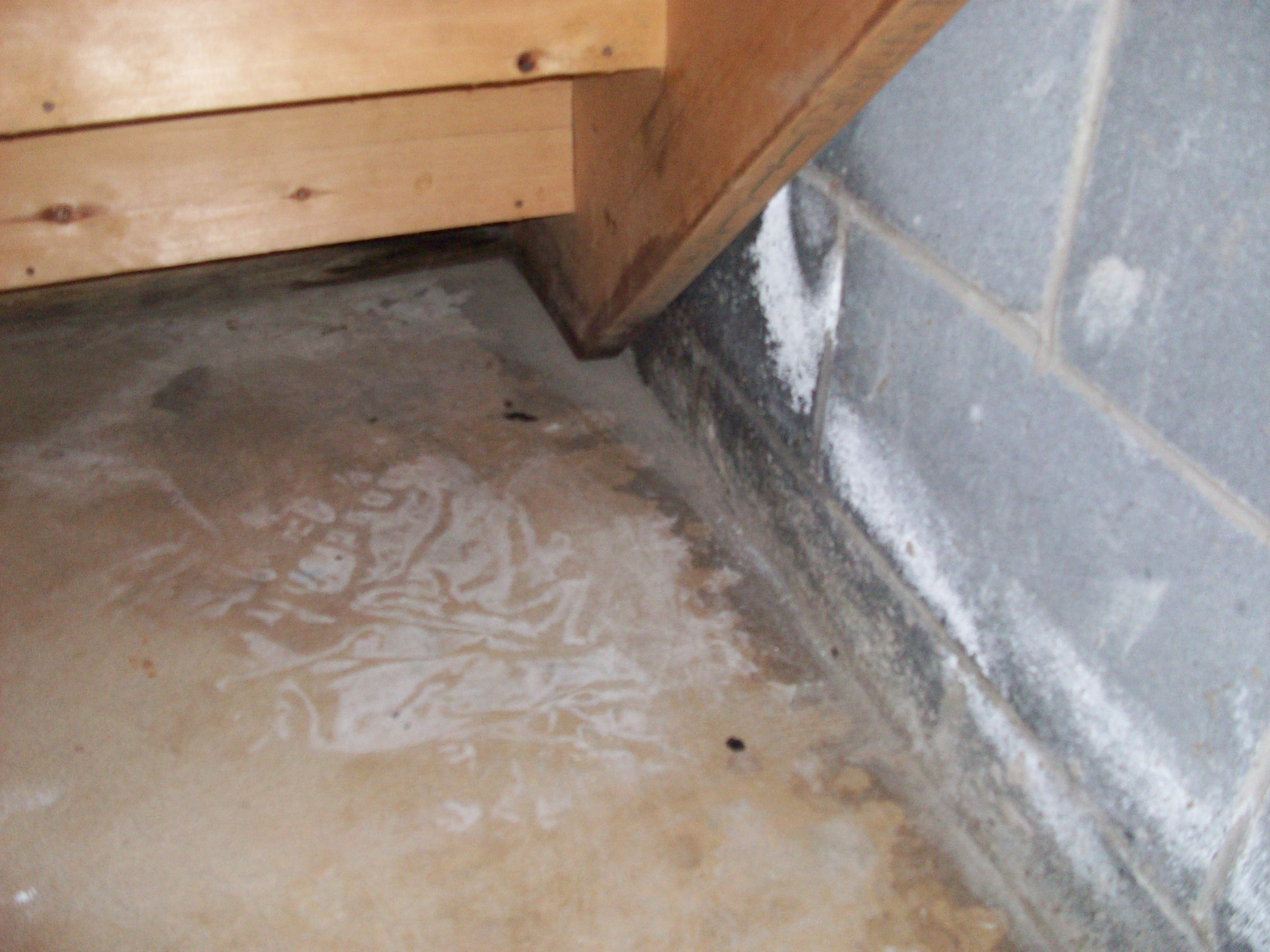 Homebuyers Beware: 9 Signs of Basement Water Leakage from ...