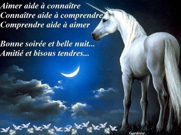 Bonne Soiree Et Bonne Nuit