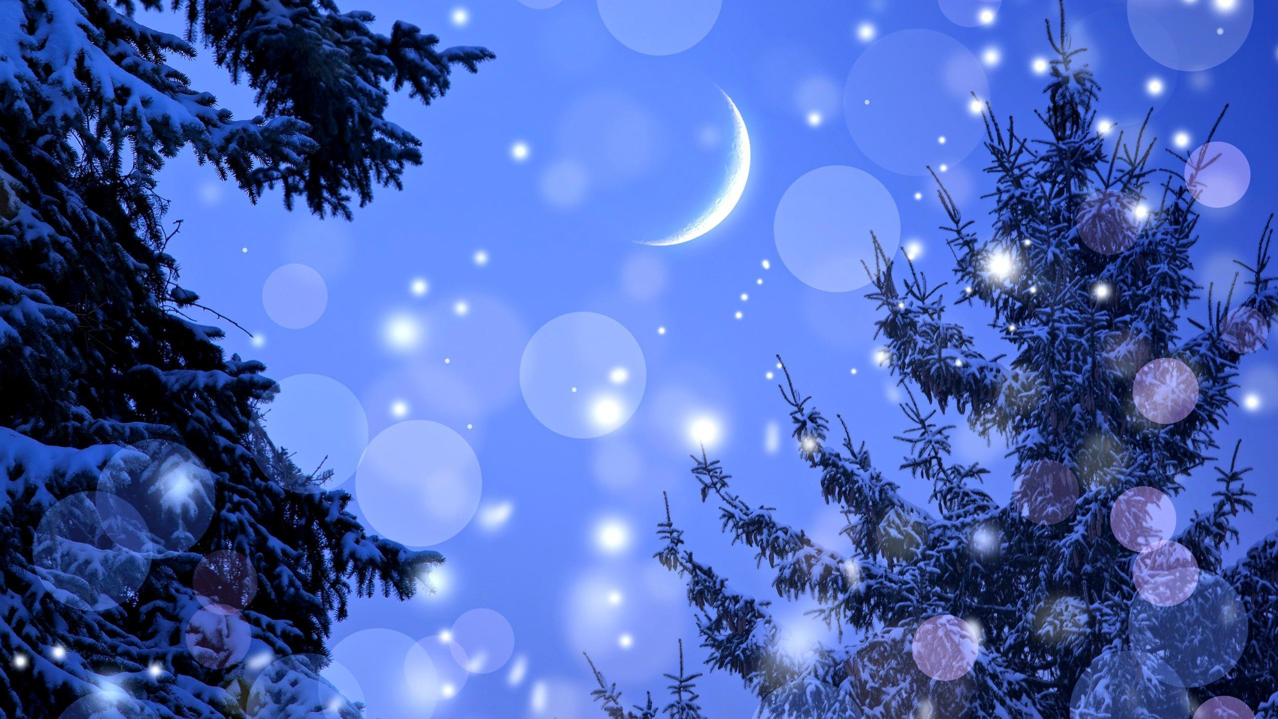 Winter Night HD desktop wallpaper : Widescreen : High ...