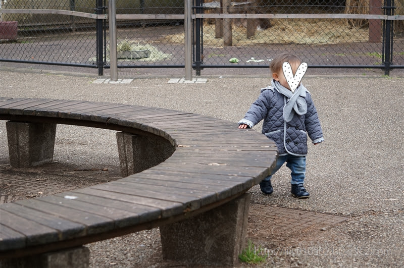 一歳半検診 低身長で引っかかってしまった 君の手を離す日