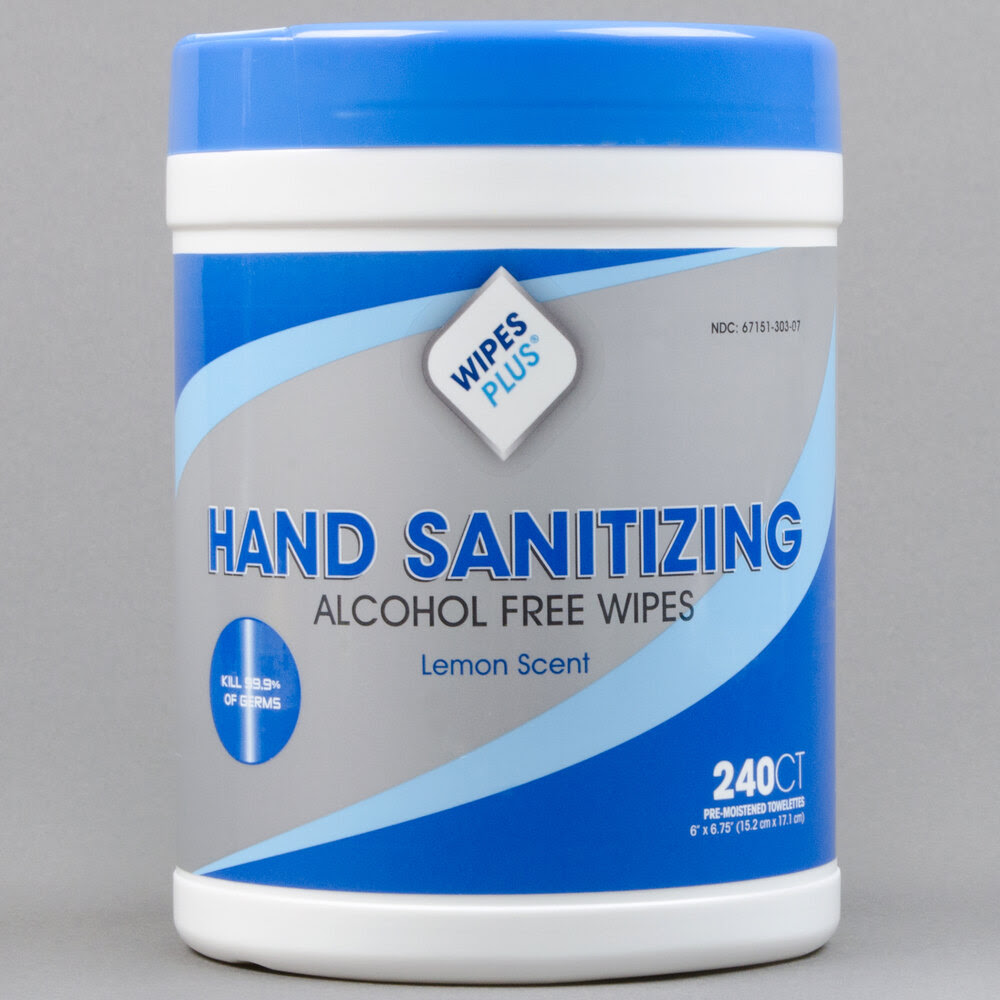 WipesPlus Lemon Scent Alcohol Free Hand Sanitizing Wipes ...