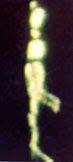 seres_de_luz_23