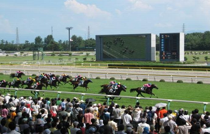新潟競馬場に近い人気のおすすめ格安ビジネスホテル