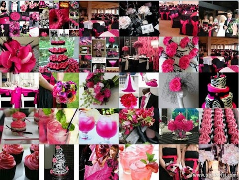 Simak 10+ White Fuschia, Terupdate!