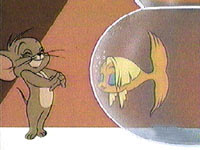 goldfish1.jpg