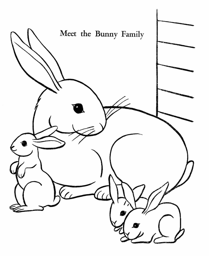 real bunny coloring pages download and print for free