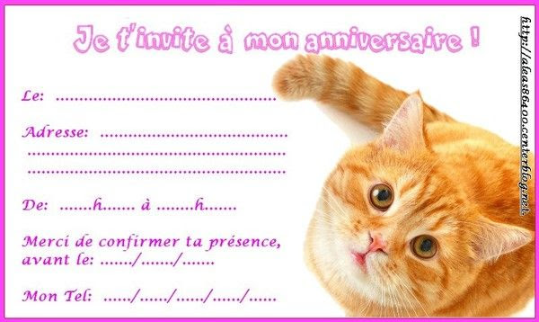 Cartes Invitations Chat 03