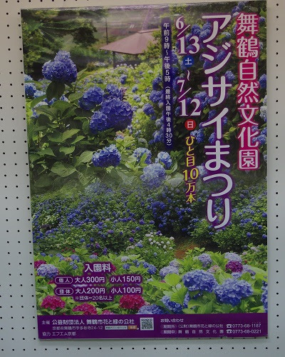 京都 舞鶴自然文化園 アジサイまつり ひと目１０万本 粗写ですが Photo Report