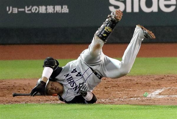 梅野隆太郎の画像 原寸画像検索