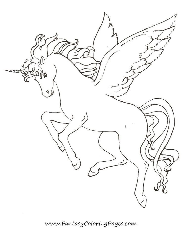 Free Pegasus Pictures To Color Download Free Clip Art Free Clip