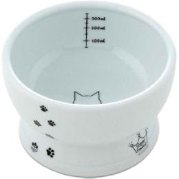 猫はキャベツを食べても平気なの？与える際に気を付けるべき事とは