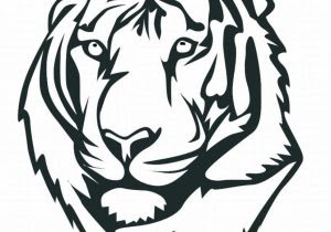 Simple Tiger Drawing Free Download On Clipartmag