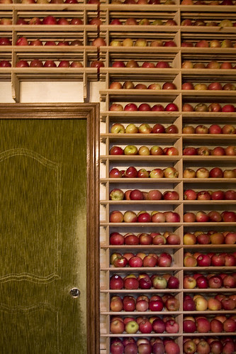 Bouley, NYC