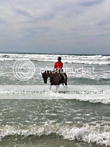  photo IMG_6380a.jpg