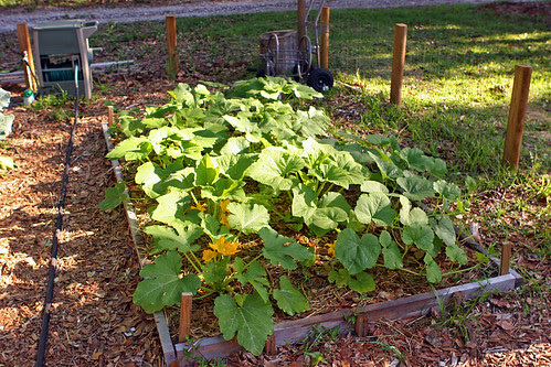 aaGarden 359