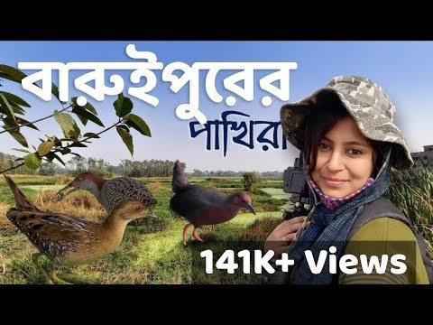 Baruipur | Offbeat one day trip | Birdwatching | Migratory Birds | Poaching