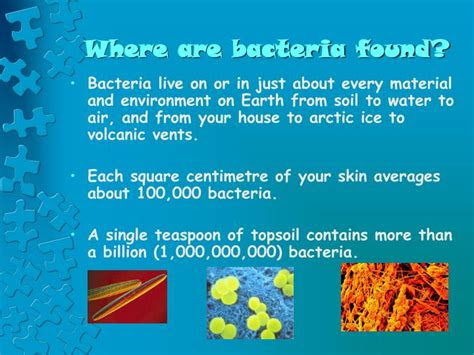 microbes powerpoint  id