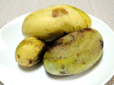 ポポ なぜ 幻の果物 と呼ばれるのか コウジ菌のブログ